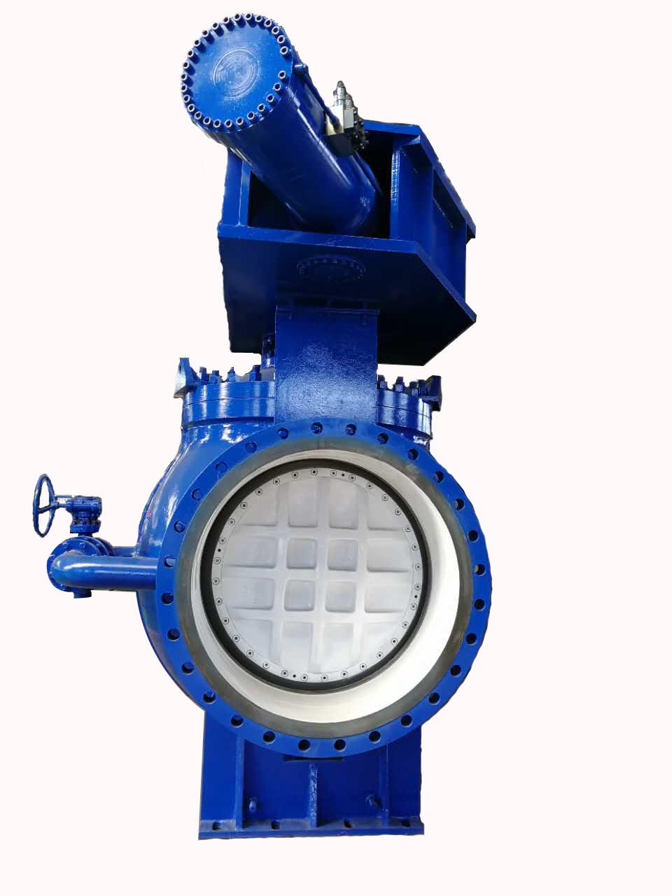 ƫ�İ����y�S�o(h��)��ע�����(xi��ng)