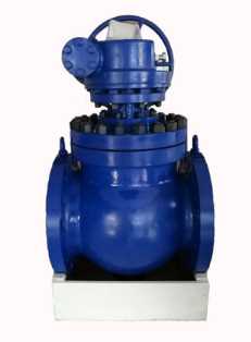 ���հ����y���P�]�^����ʲô